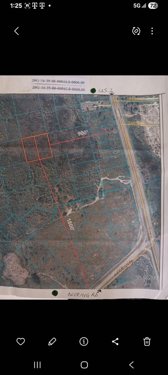 Short Parcel 2003055, FL
