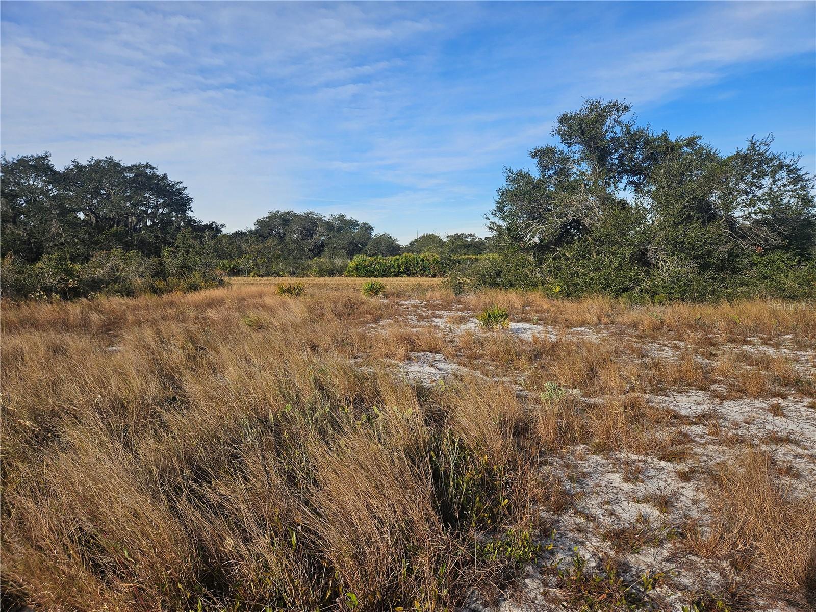 625 Reed Road, FL