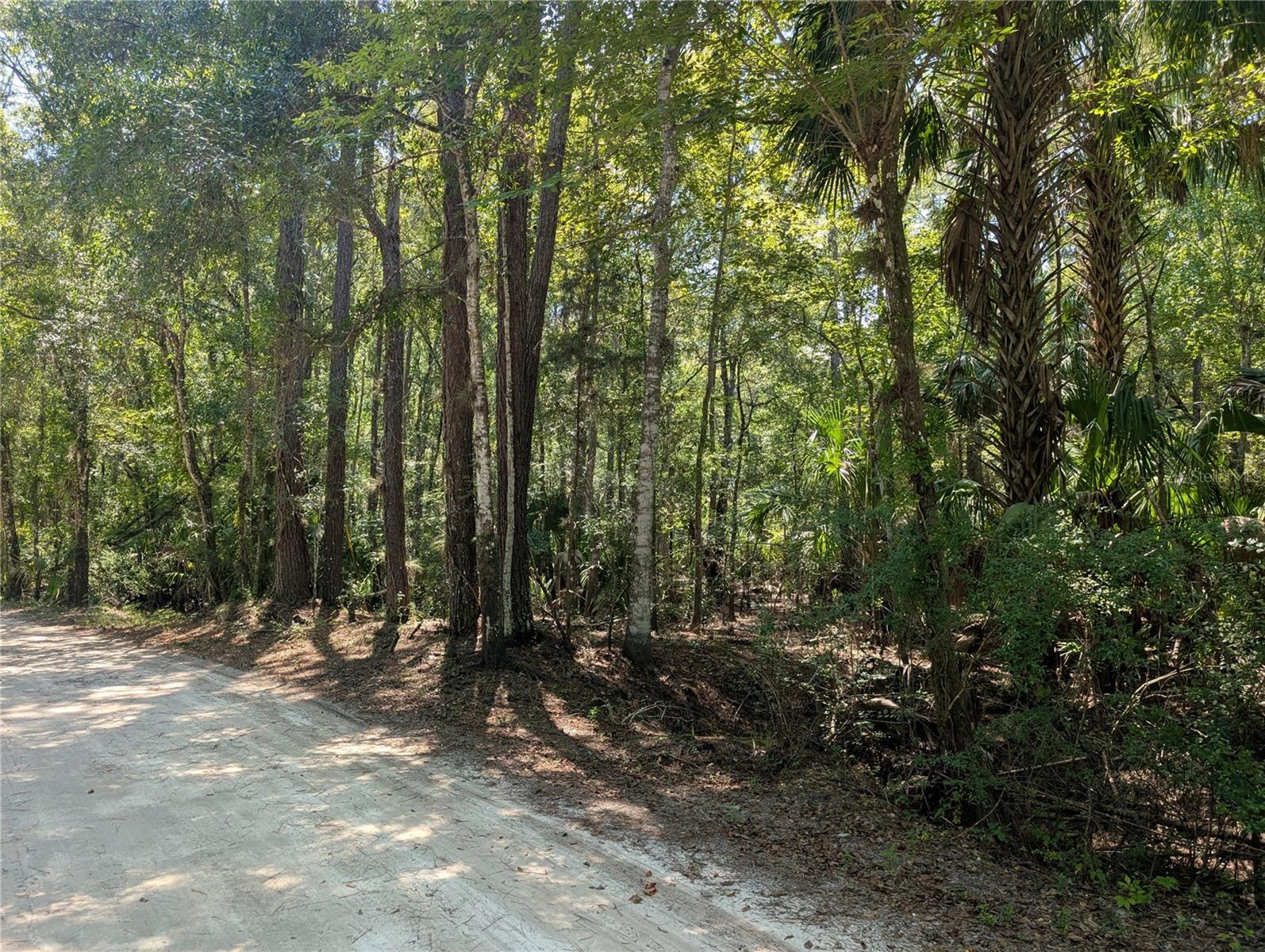 6252 E River Rd, FL