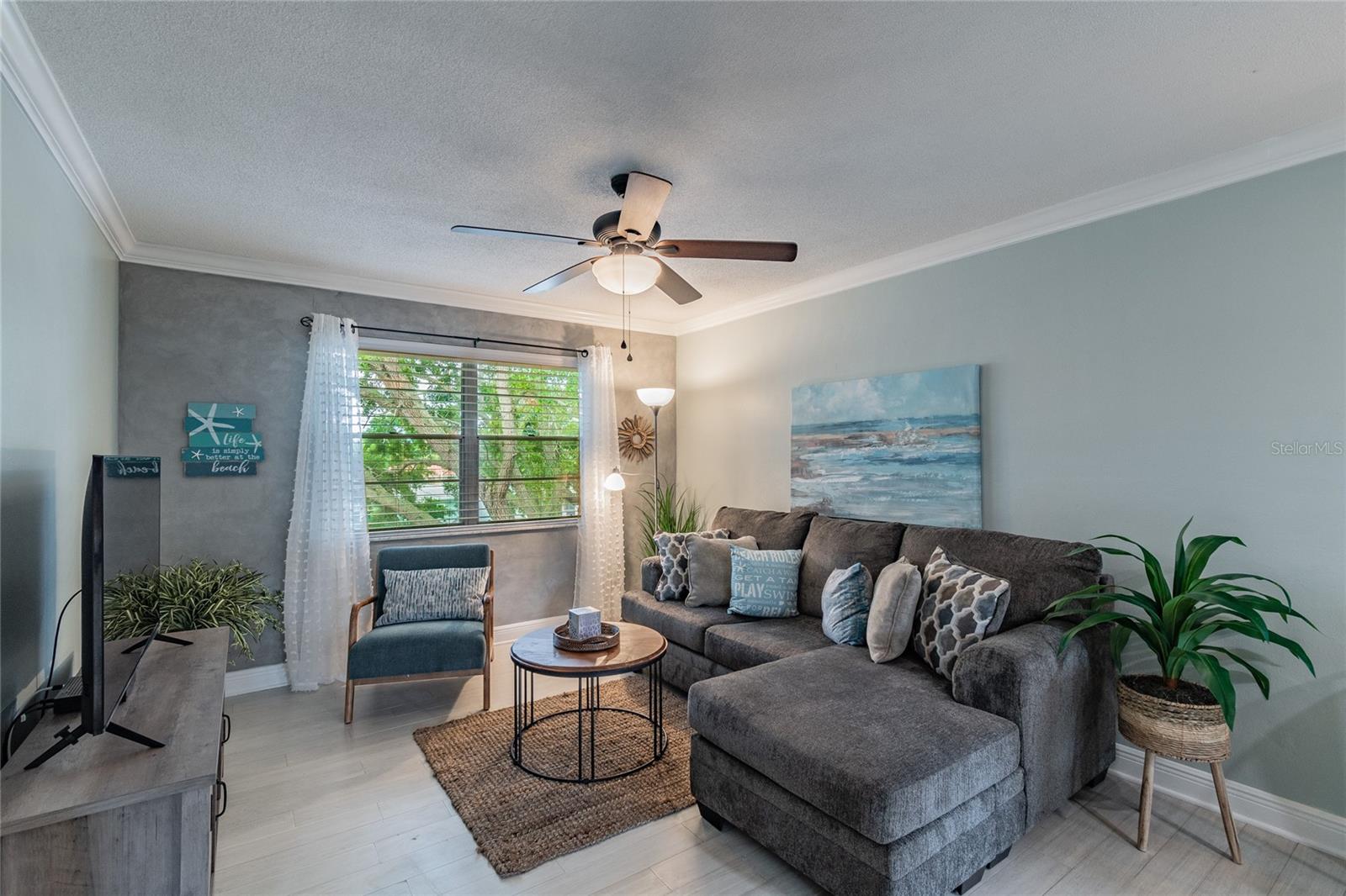 439 Paula Drive, FL