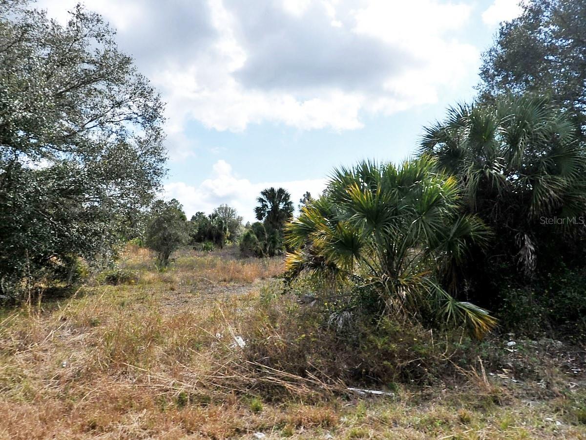 Peale Cir, FL