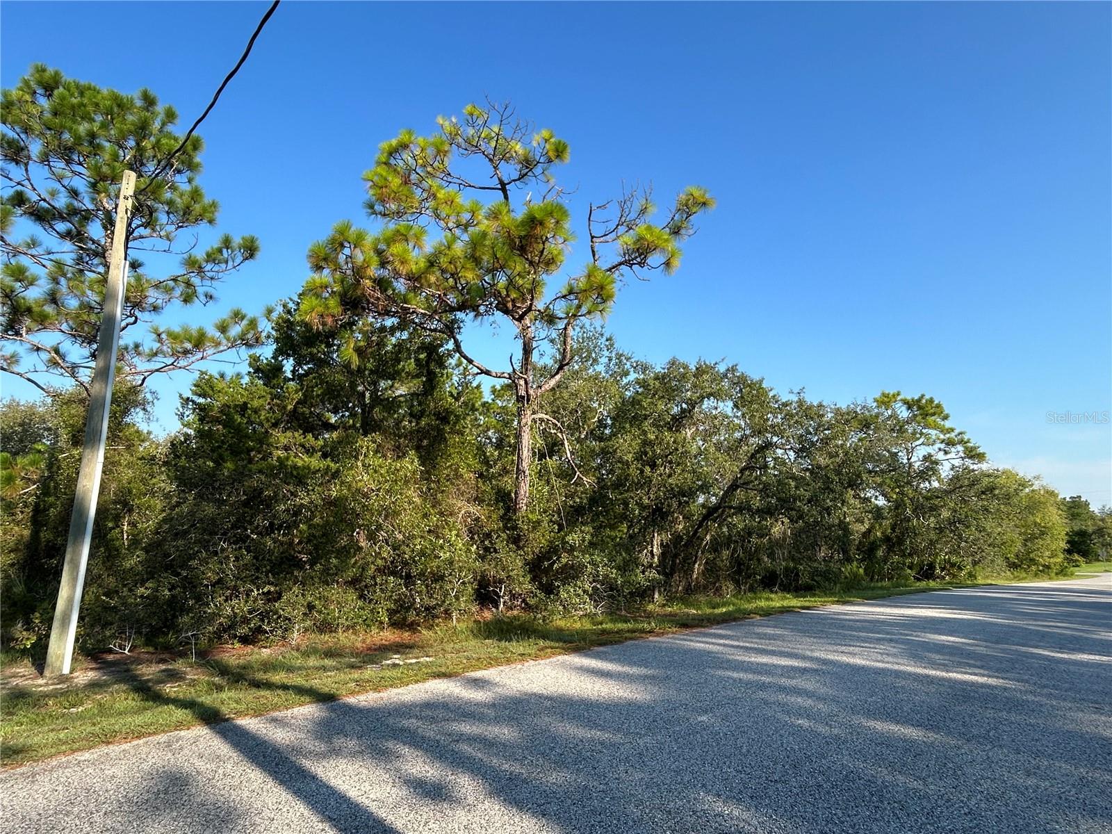 0 Nuzum Road, FL