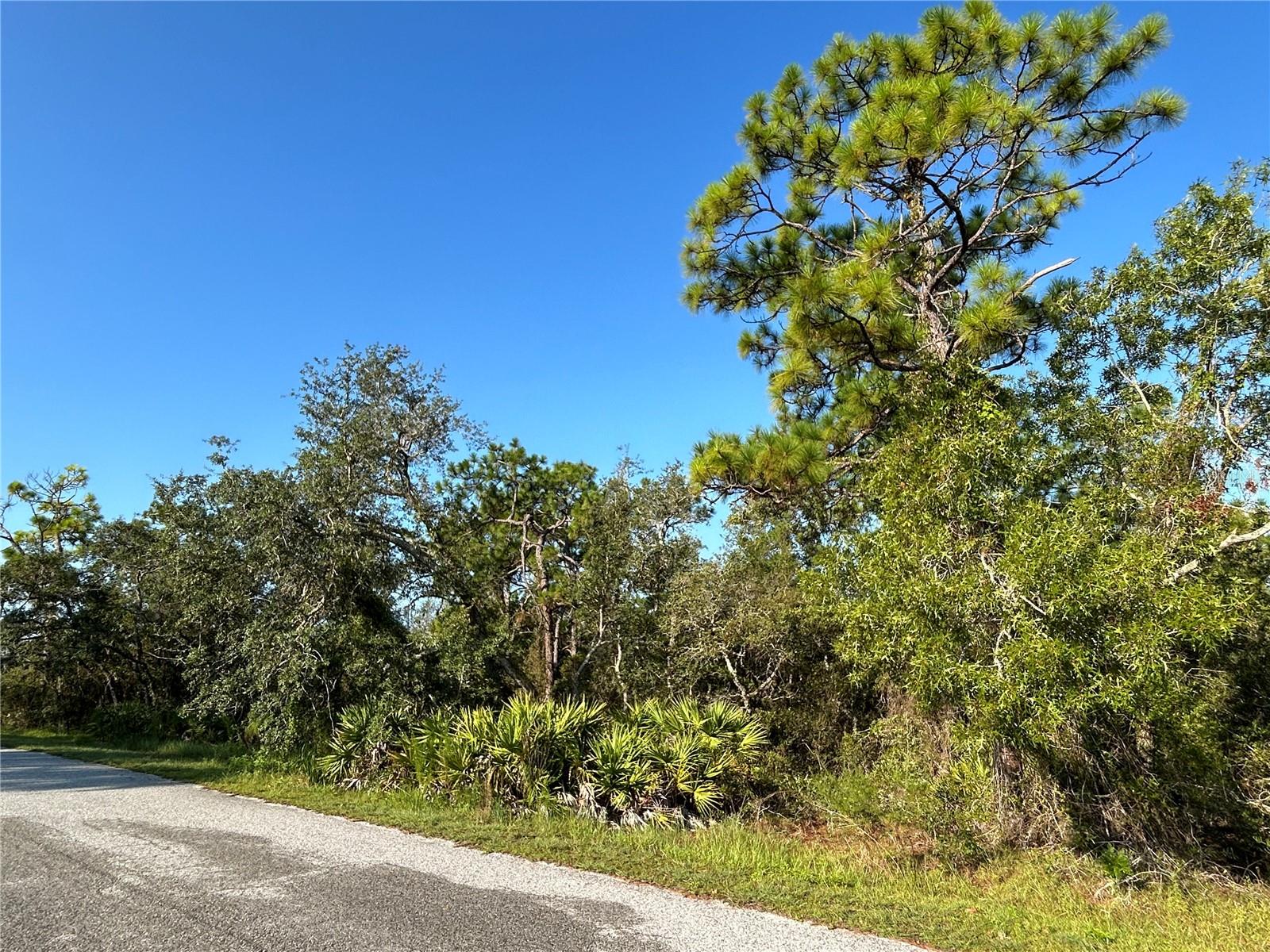 0 Nuzum Road, FL