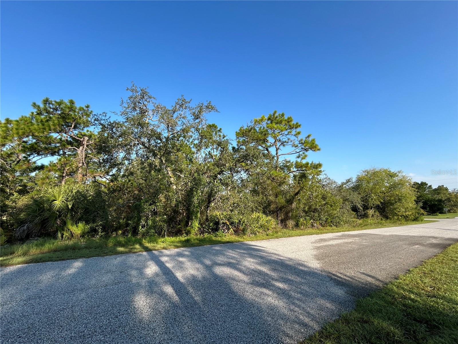 0 Nuzum Road, FL