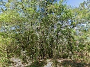 491 Nemo Drive, FL