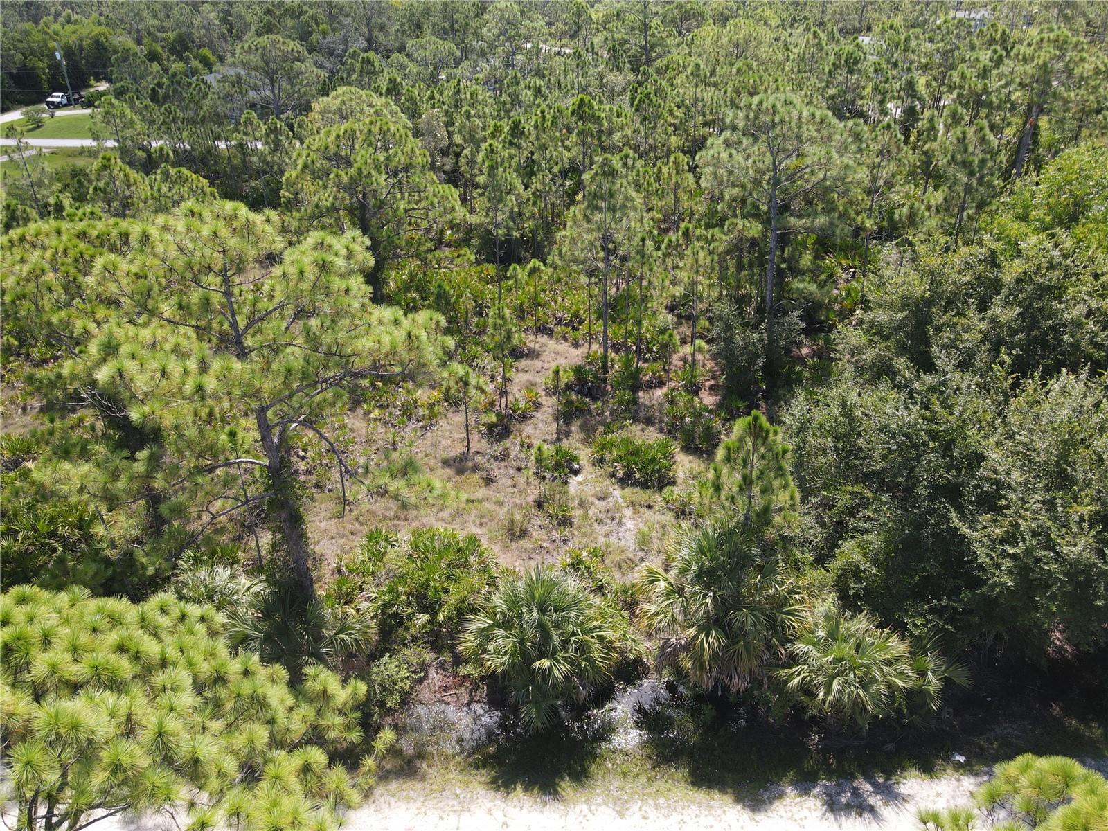 12260 Escuela Dr, FL