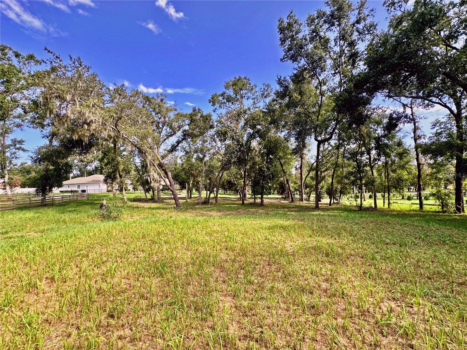 35174 Roth Lane, FL