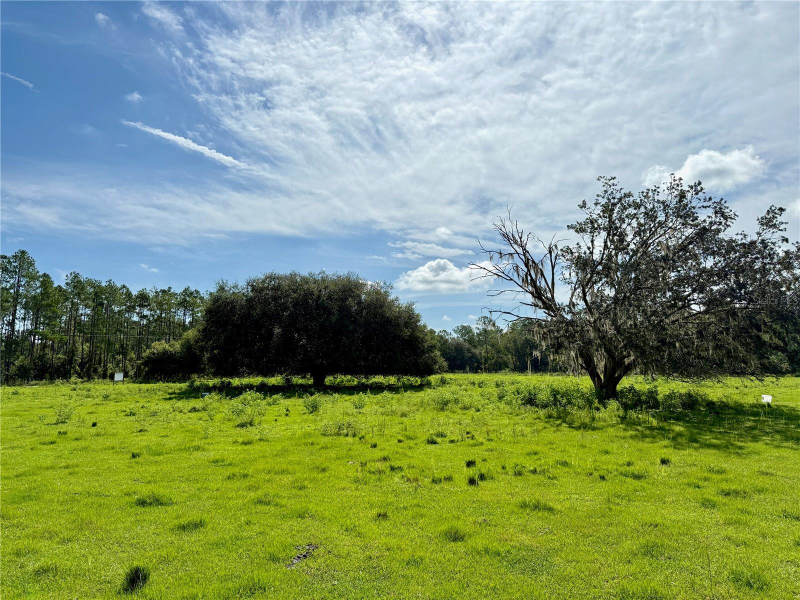 10460 Ehren Cutoff, FL