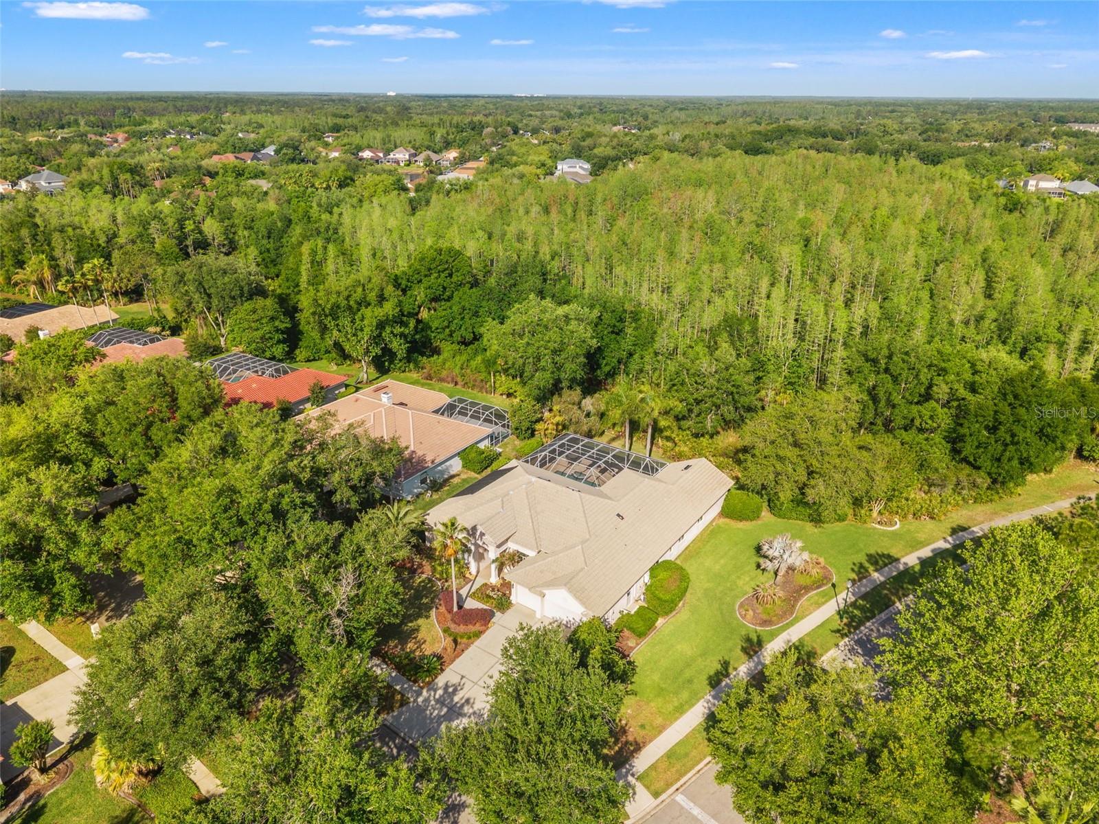 17890 Arbor Greene Drive, FL