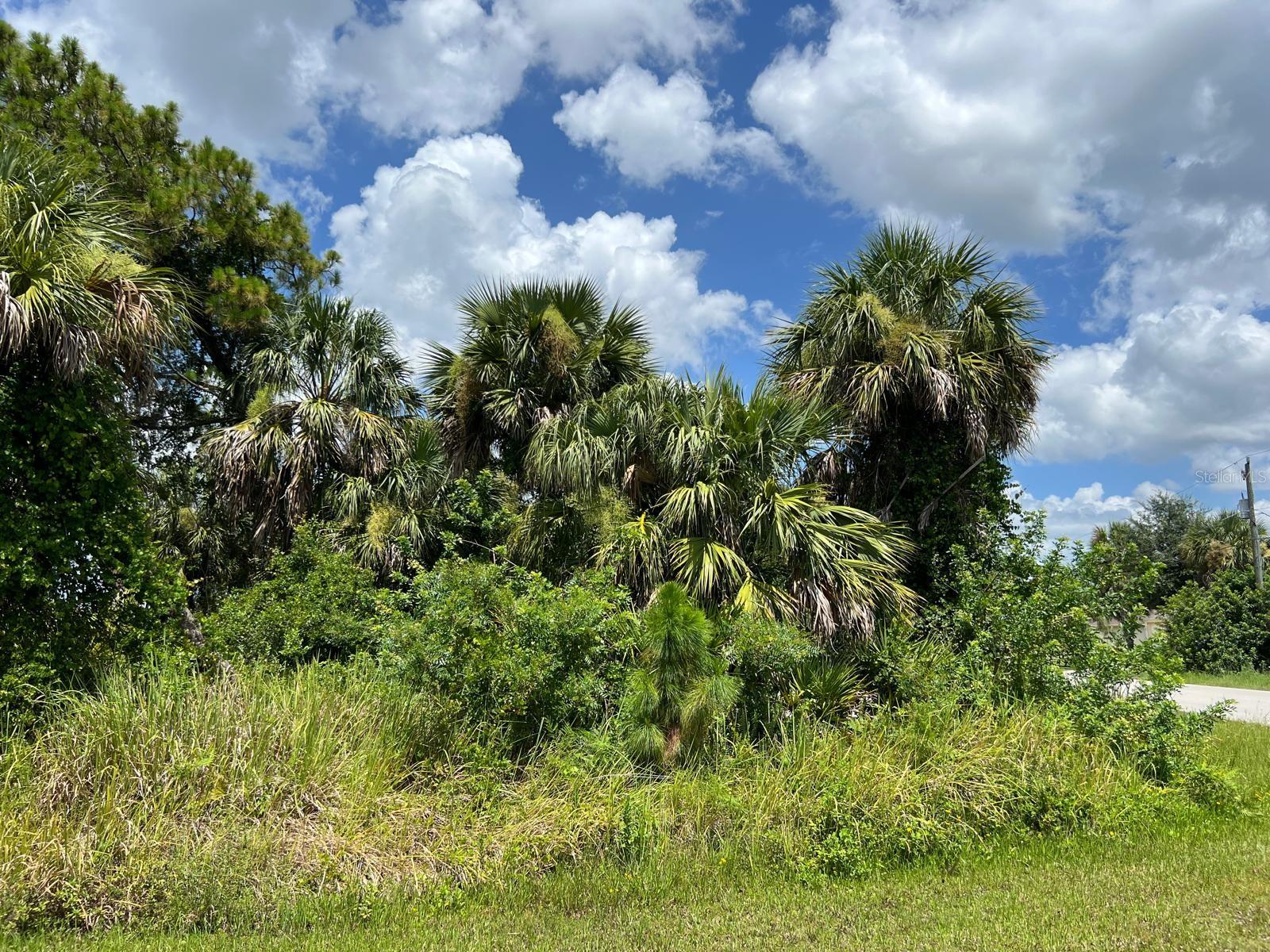 Waterloo Ter, FL