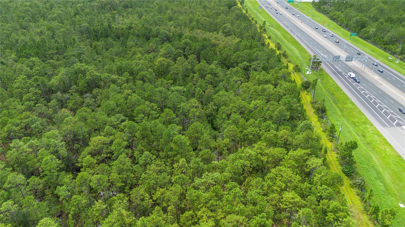 S Apopka Vineland Road, FL