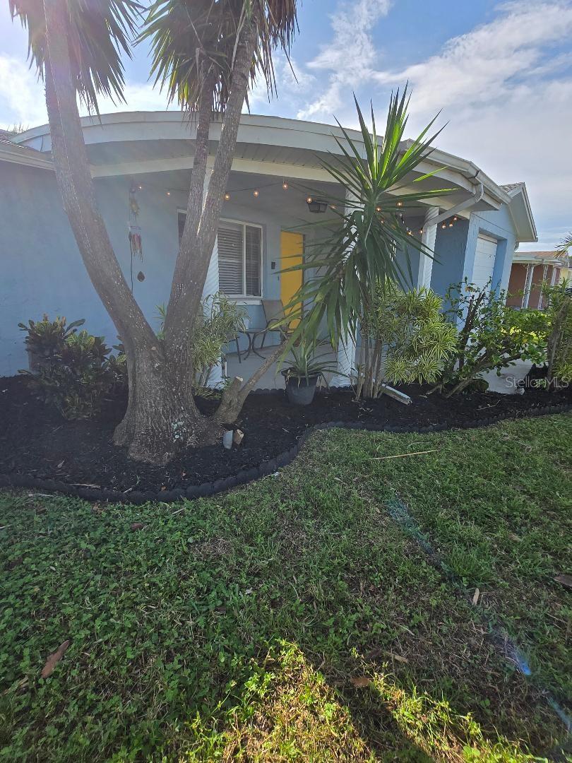 2228 Society Drive, FL