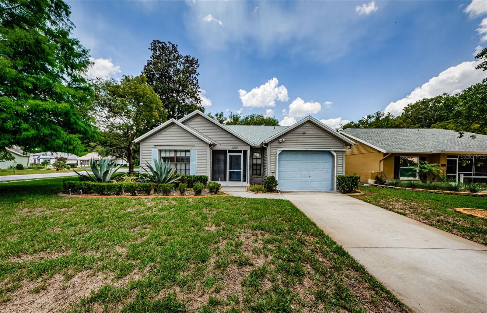 11805 Loblolly Pine Drive, FL