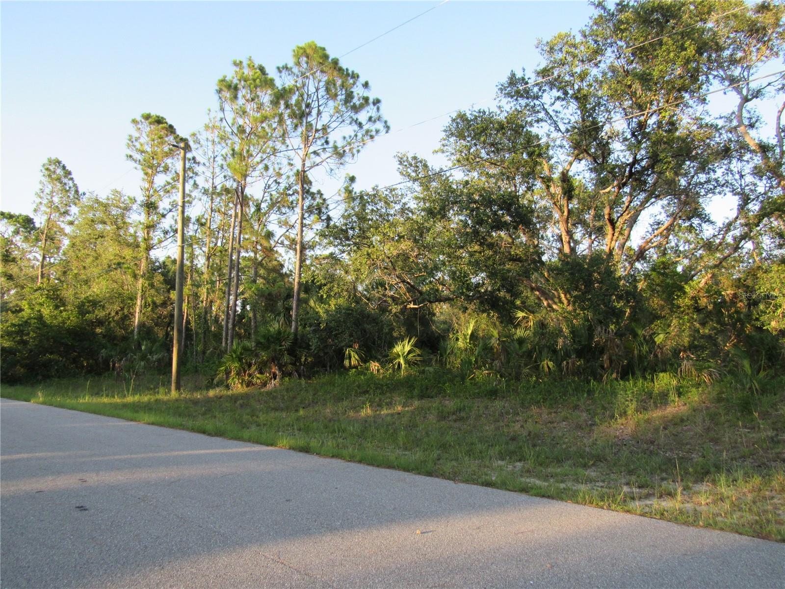 Cascabel Ter, FL