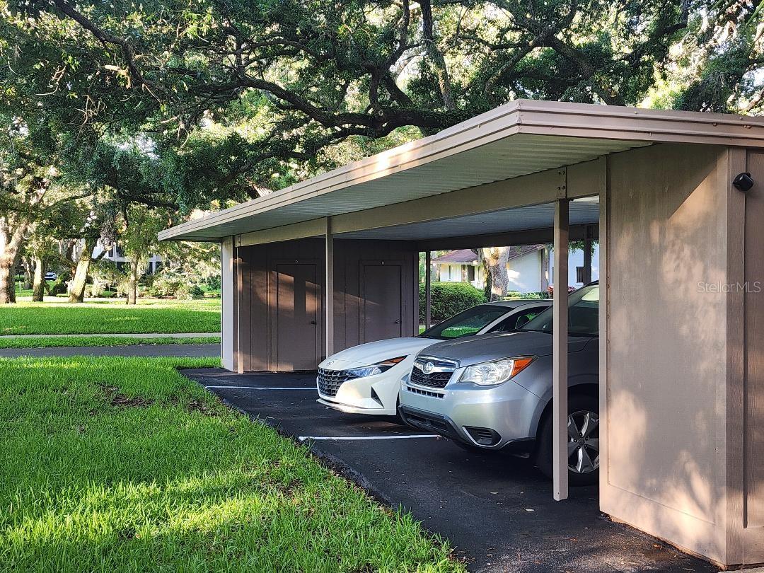 603 Baldwin Avenue, FL