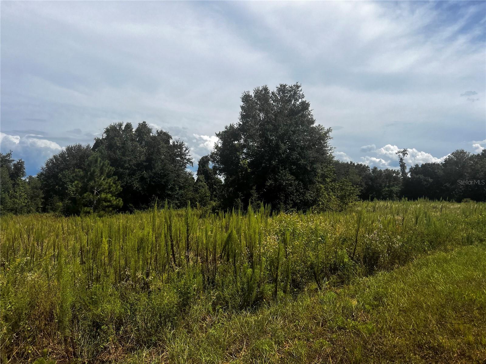 Sugarloaf Mountain Rd, FL