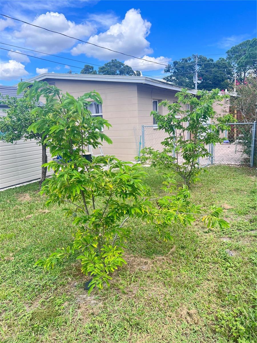 3612 71st Street, FL