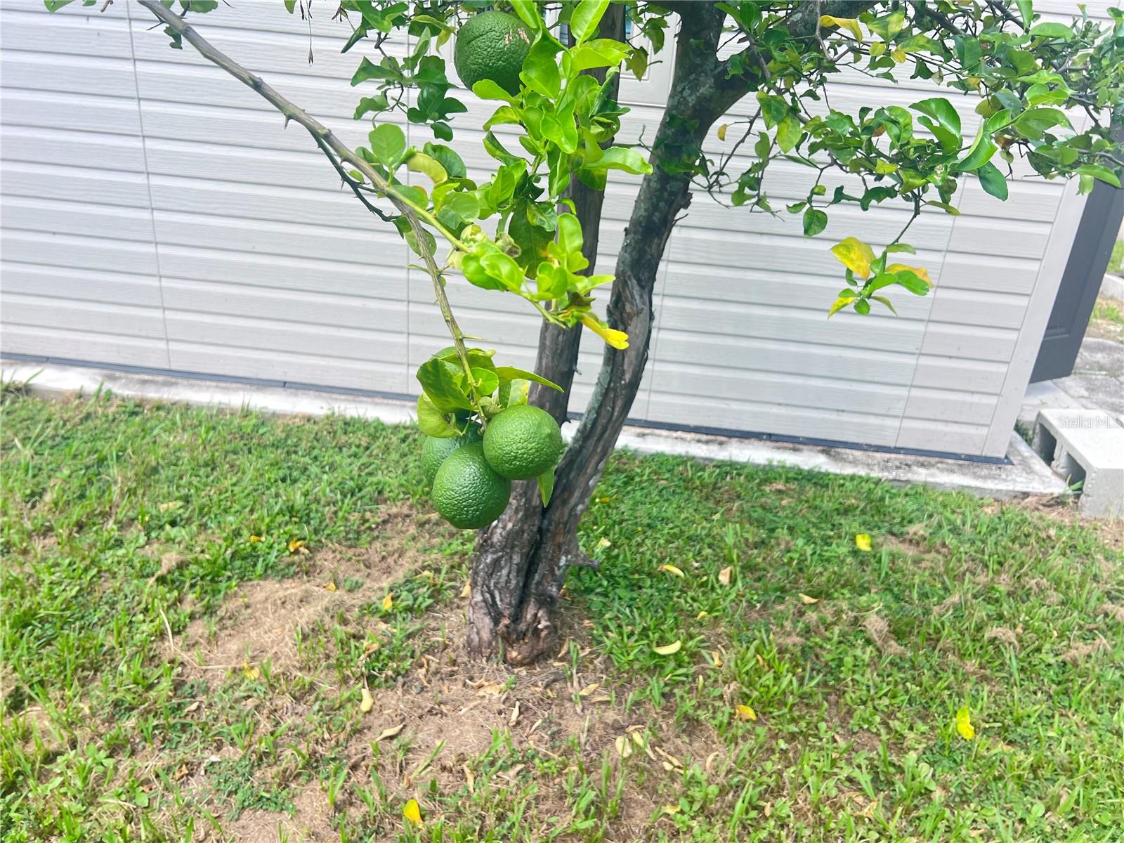 3612 71st Street, FL