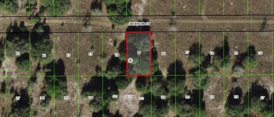 2403 Jackson Street, FL