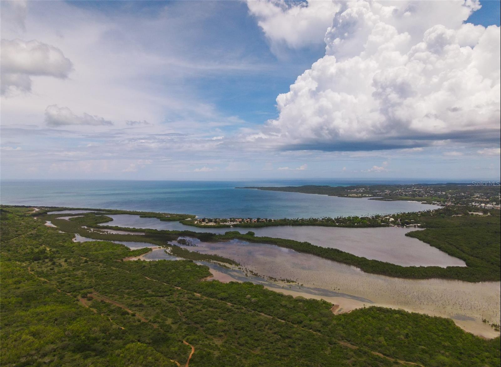 Carr 301 Km 3.2 Montelcarlo State, PR