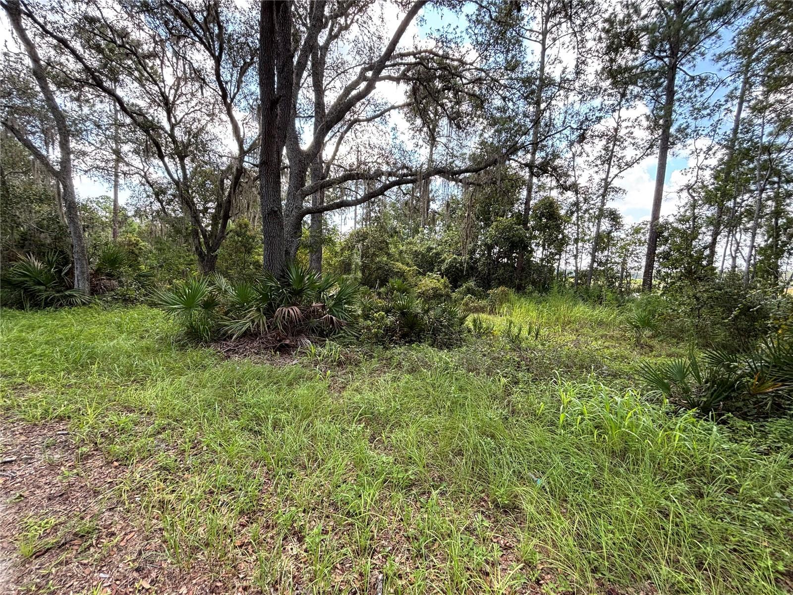 246 Browns Hammock Road, FL