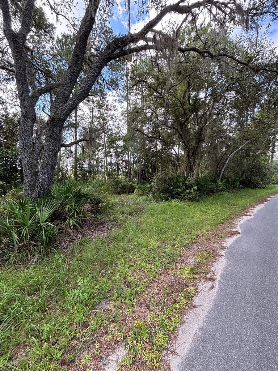 246 Browns Hammock Road, FL