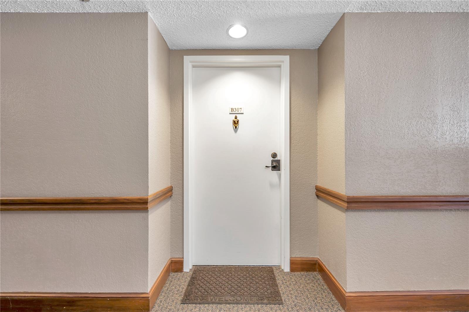 2333 Feather Sound Drive, FL