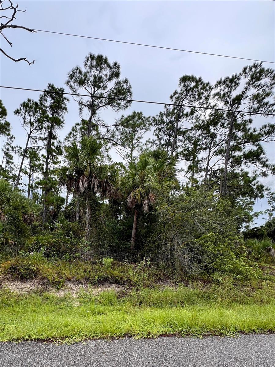 Sadnet Lane, FL