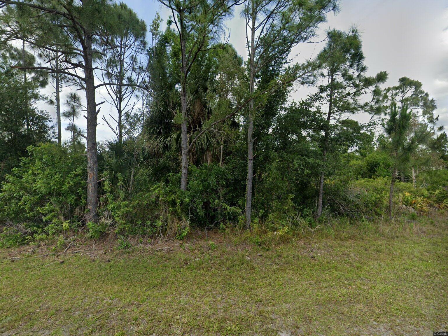 12426 Divan Ave, FL