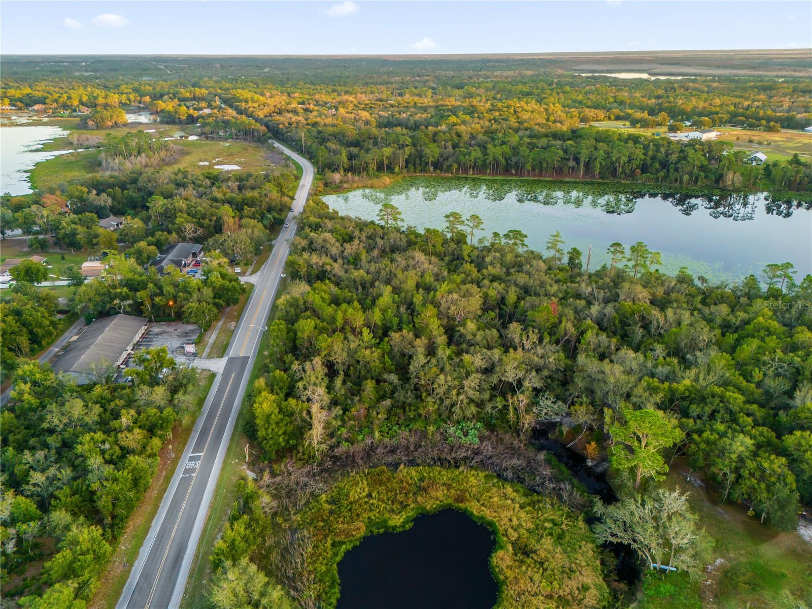 1785 Doyle Road, FL