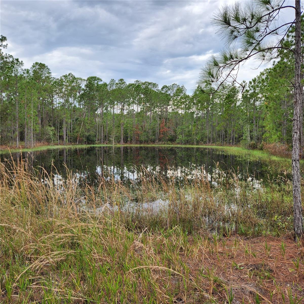 Lot 2 South Shore Drive, FL