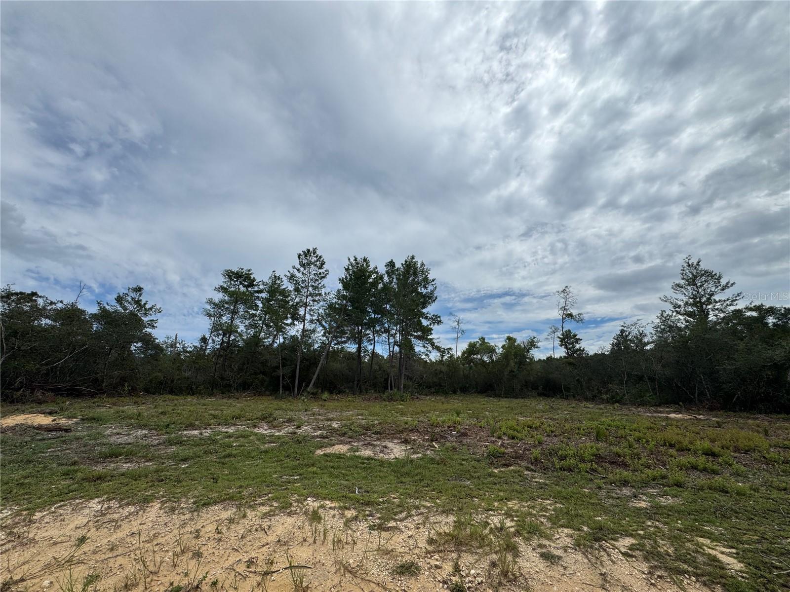 Ne 135th St, FL
