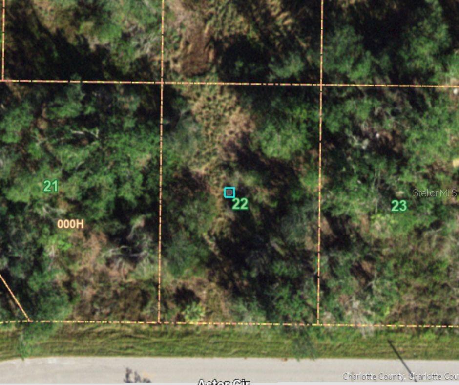 207 Astor Circle, FL