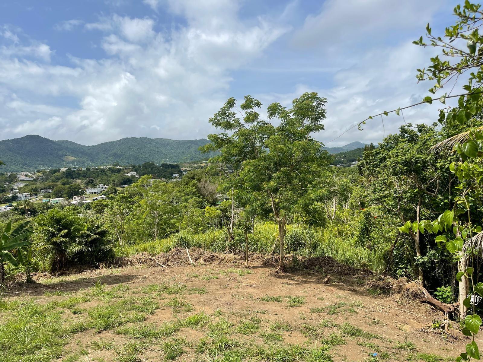 Bo. Arenas Carr Pr-734 Km 6.3, PR