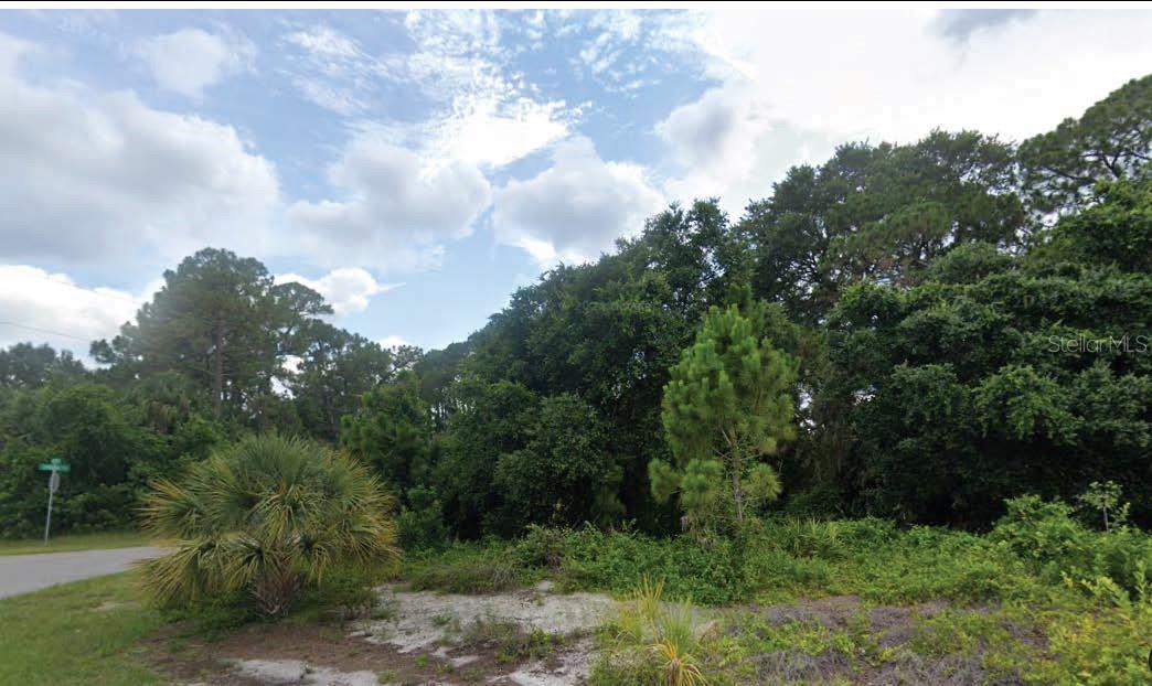Jonquil Ter, FL
