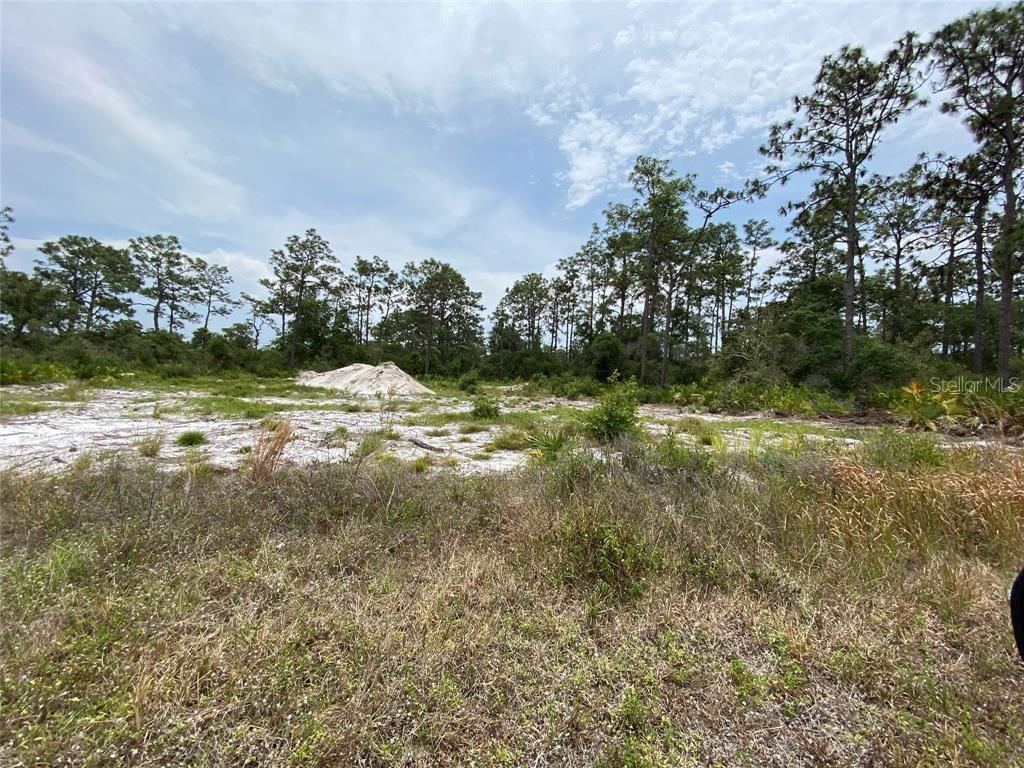6591 Deland Avenue, FL