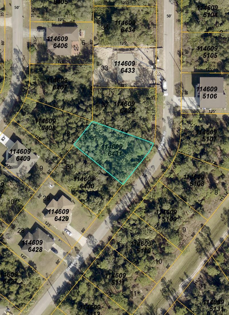 00 Dragon Street, FL