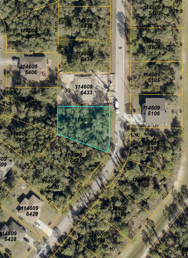 00 Dragon Street, FL