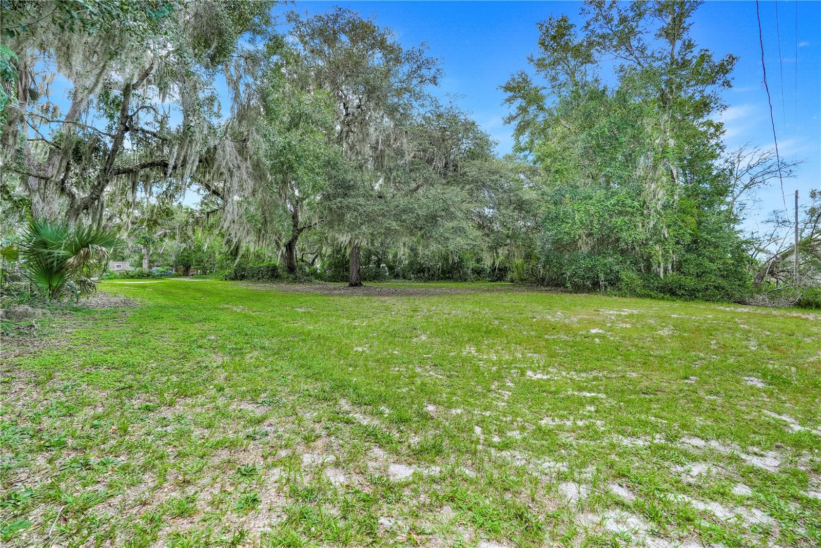 Selman Road, FL