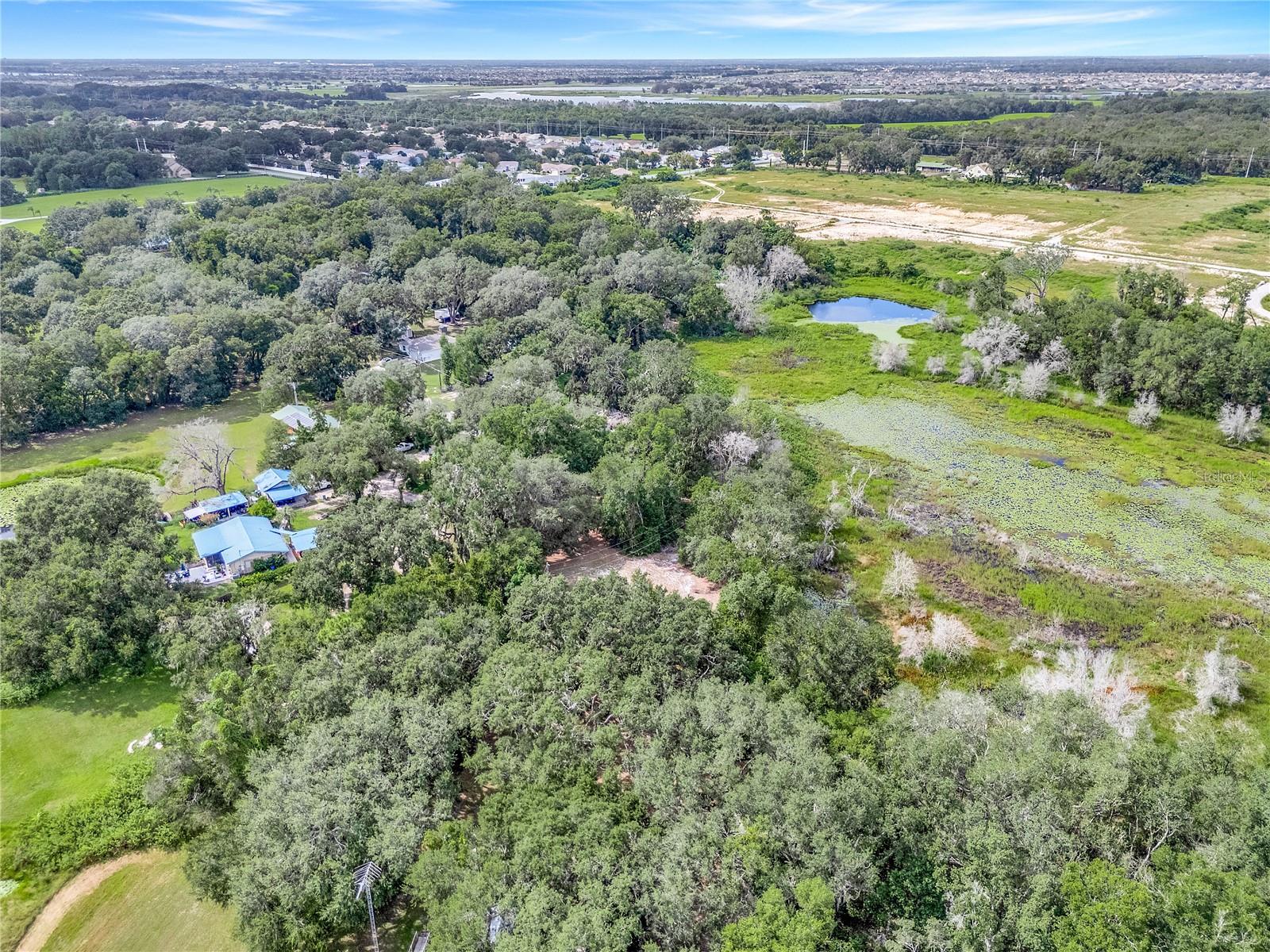 Selman Road, FL