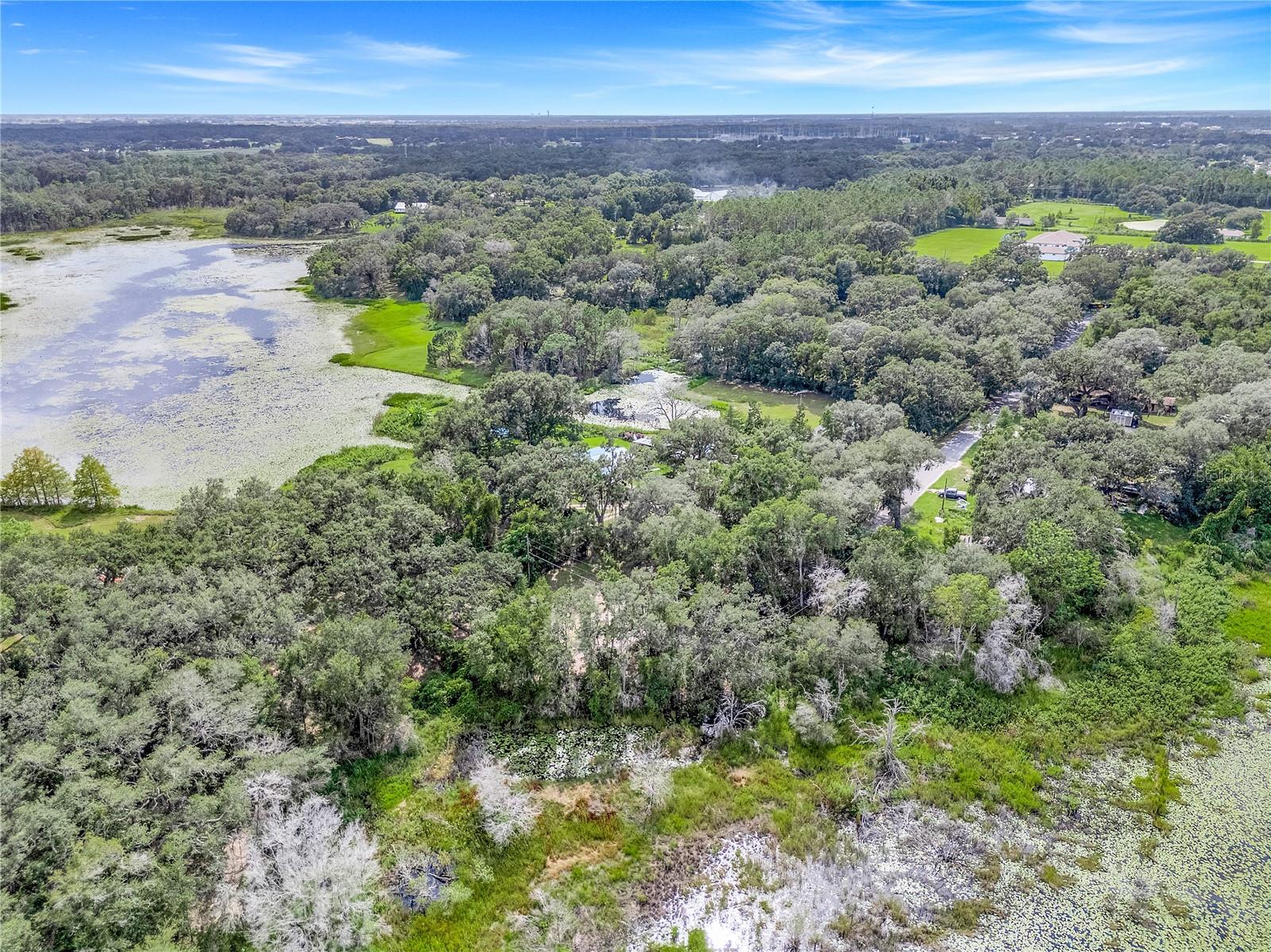 Selman Road, FL