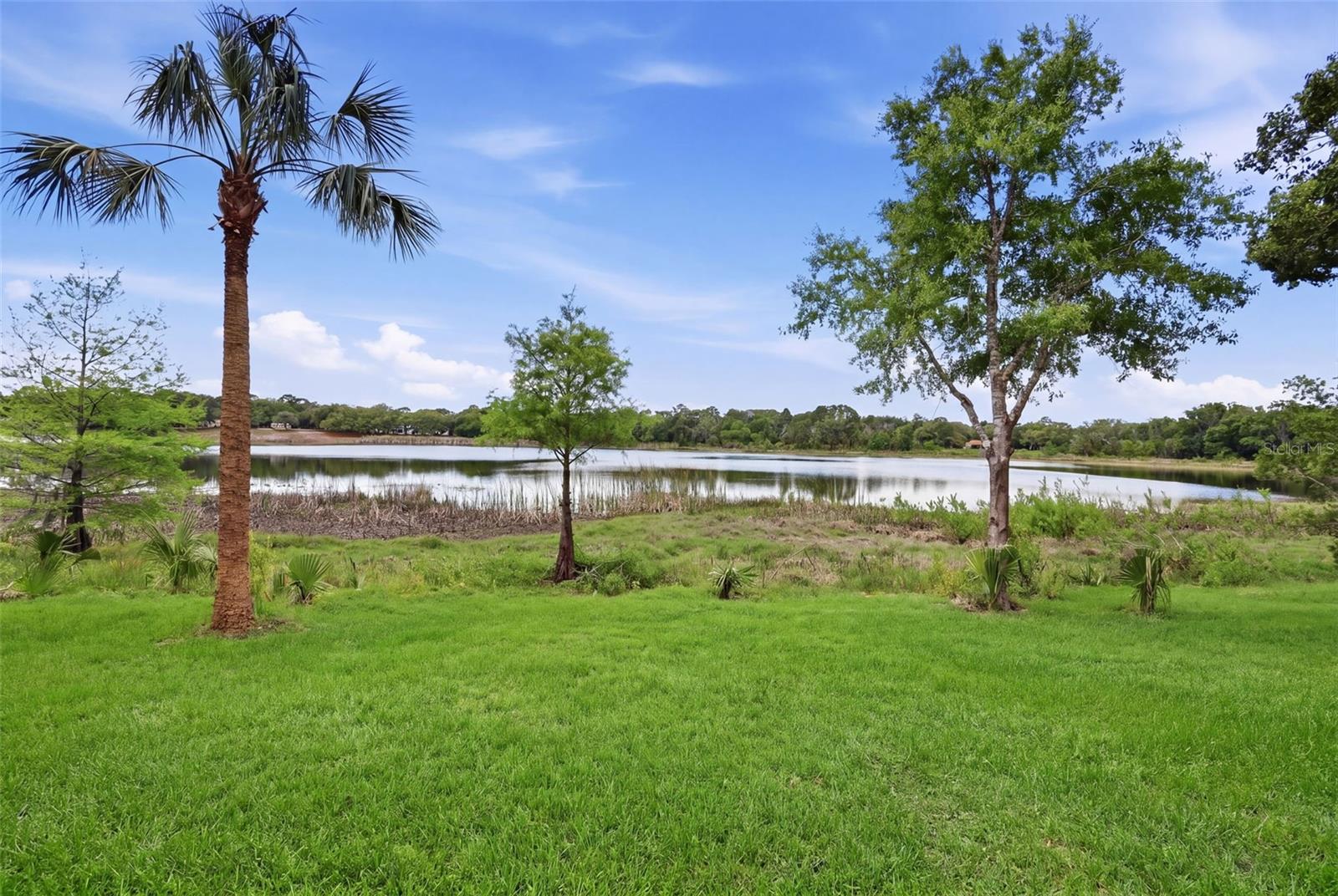 1444 Bird Rd, FL