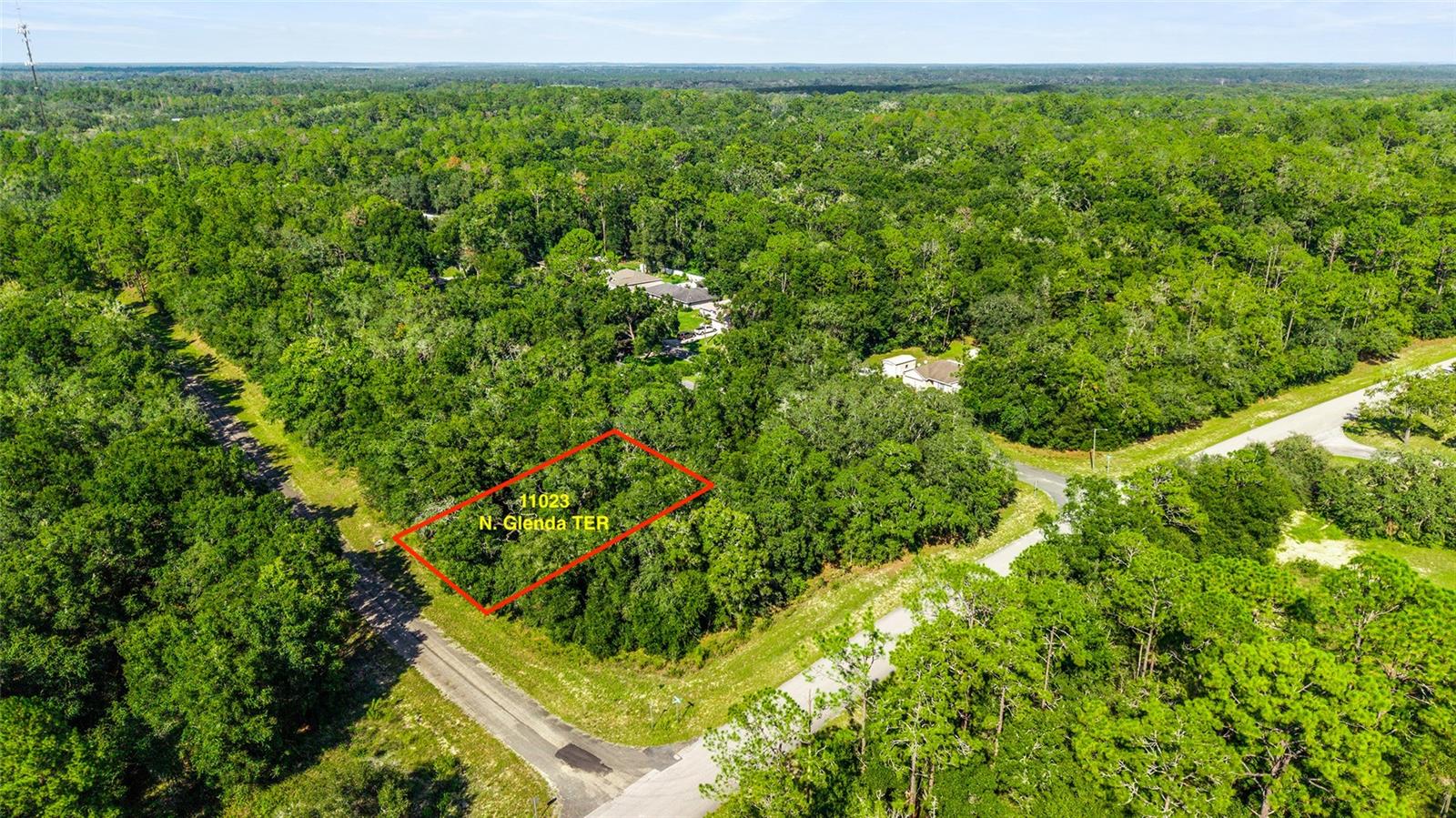 11023 N Glenda Ter, FL