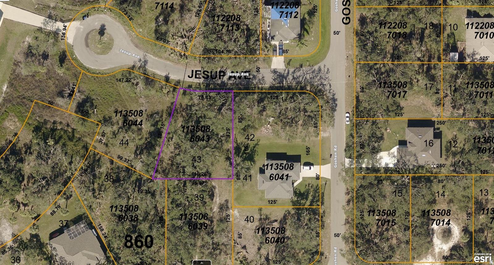1135086043 Jesup Avenue, FL