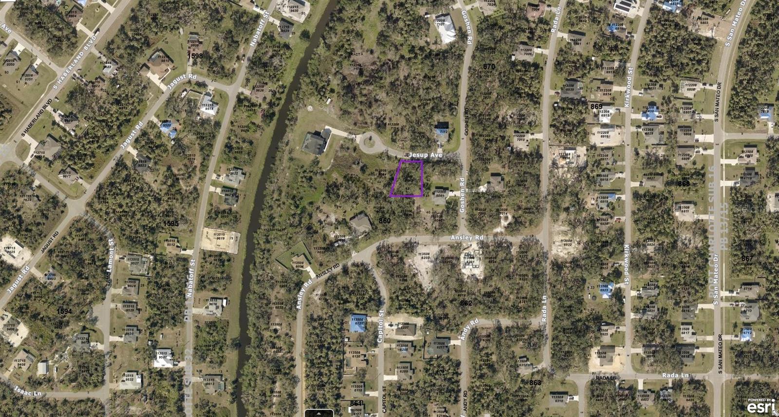 1135086043 Jesup Avenue, FL