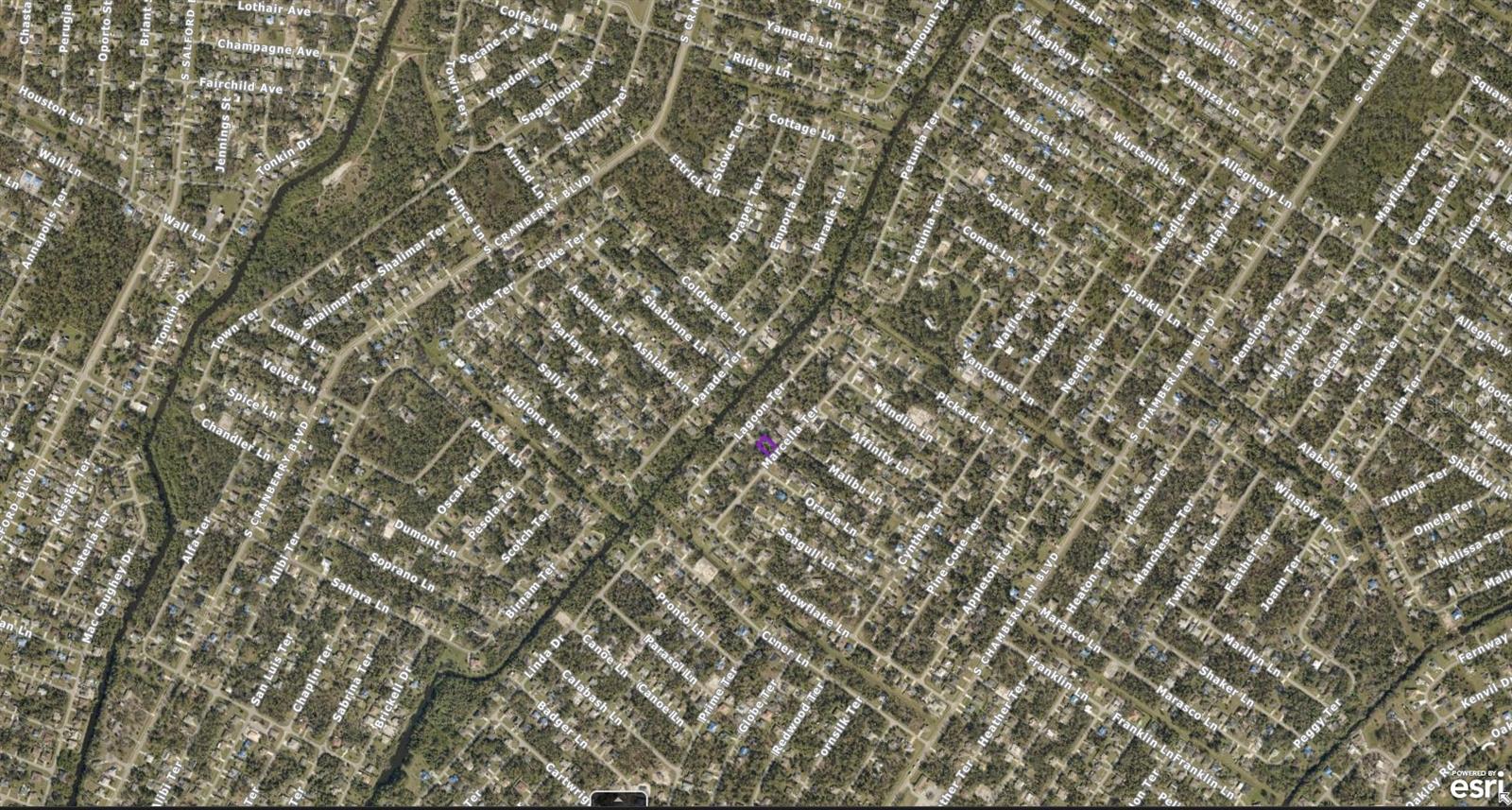 1135086043 Jesup Avenue, FL