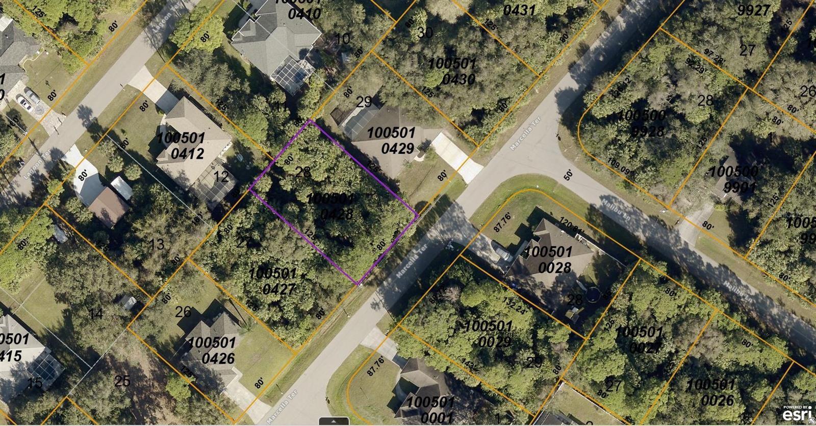 1005010428 Marcella Terrace, FL