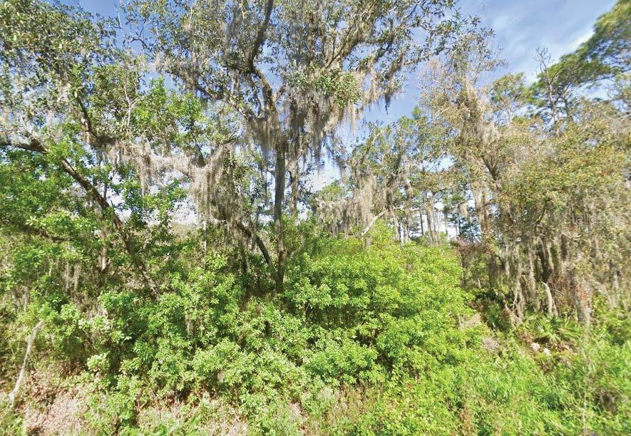 119 Temple Avenue, FL