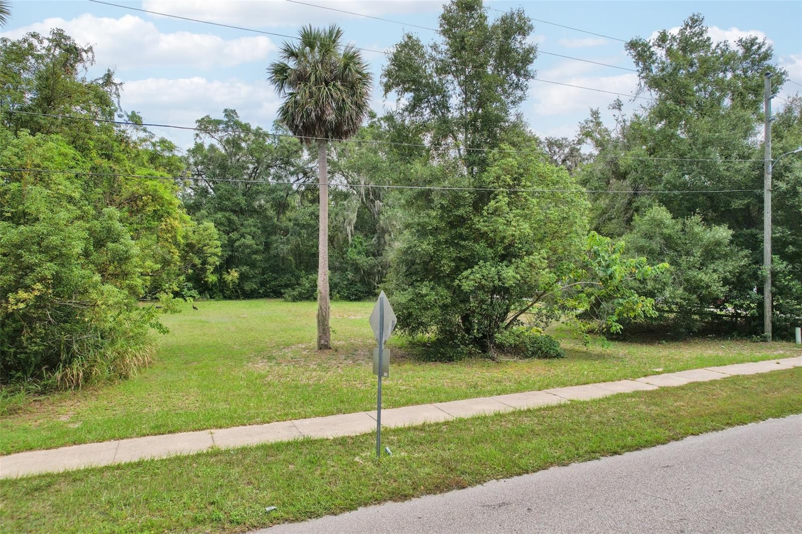 847 Palmetto Street, FL