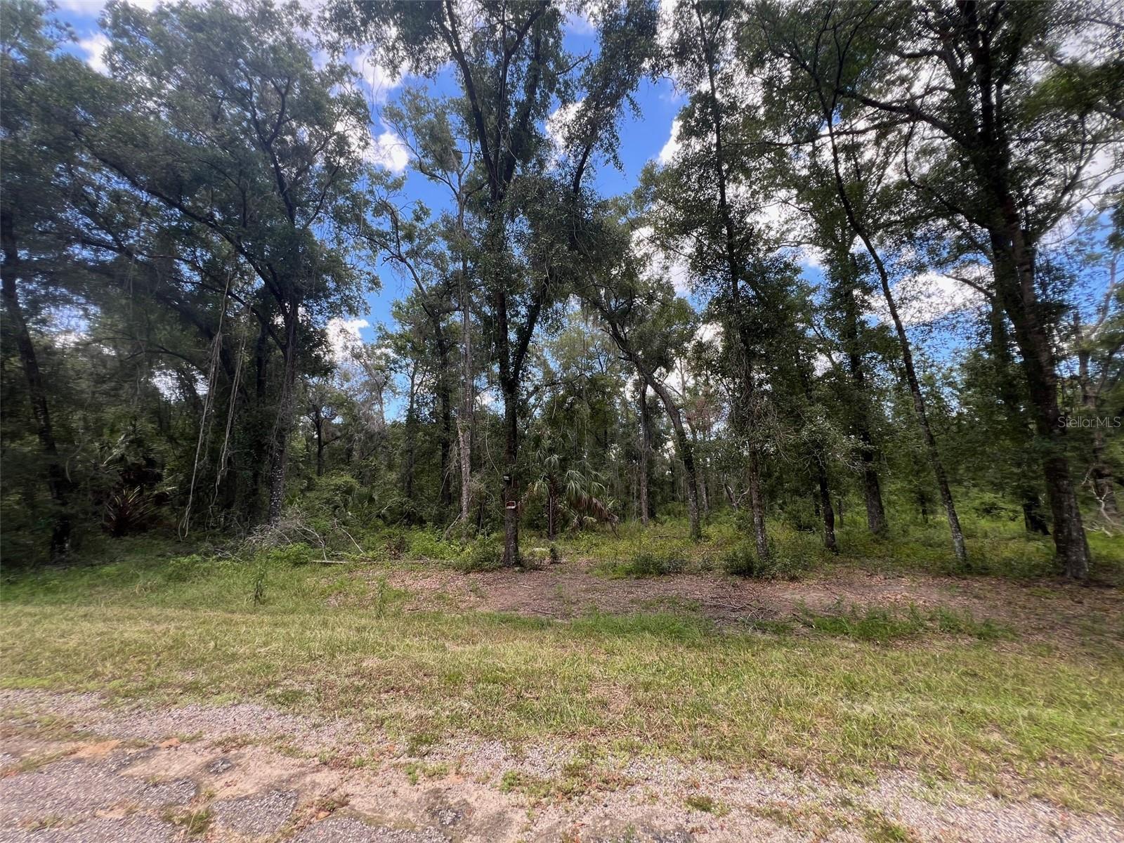 1628 Derby Drive, FL